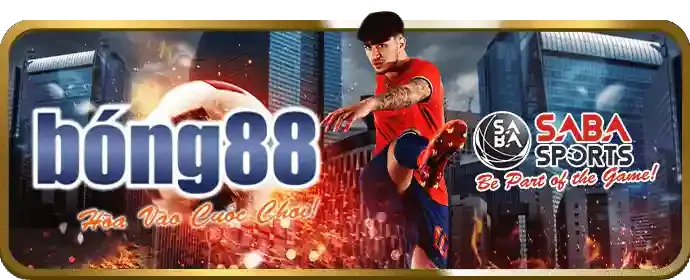 Cá cược có trách nhiệm tại 88qq login